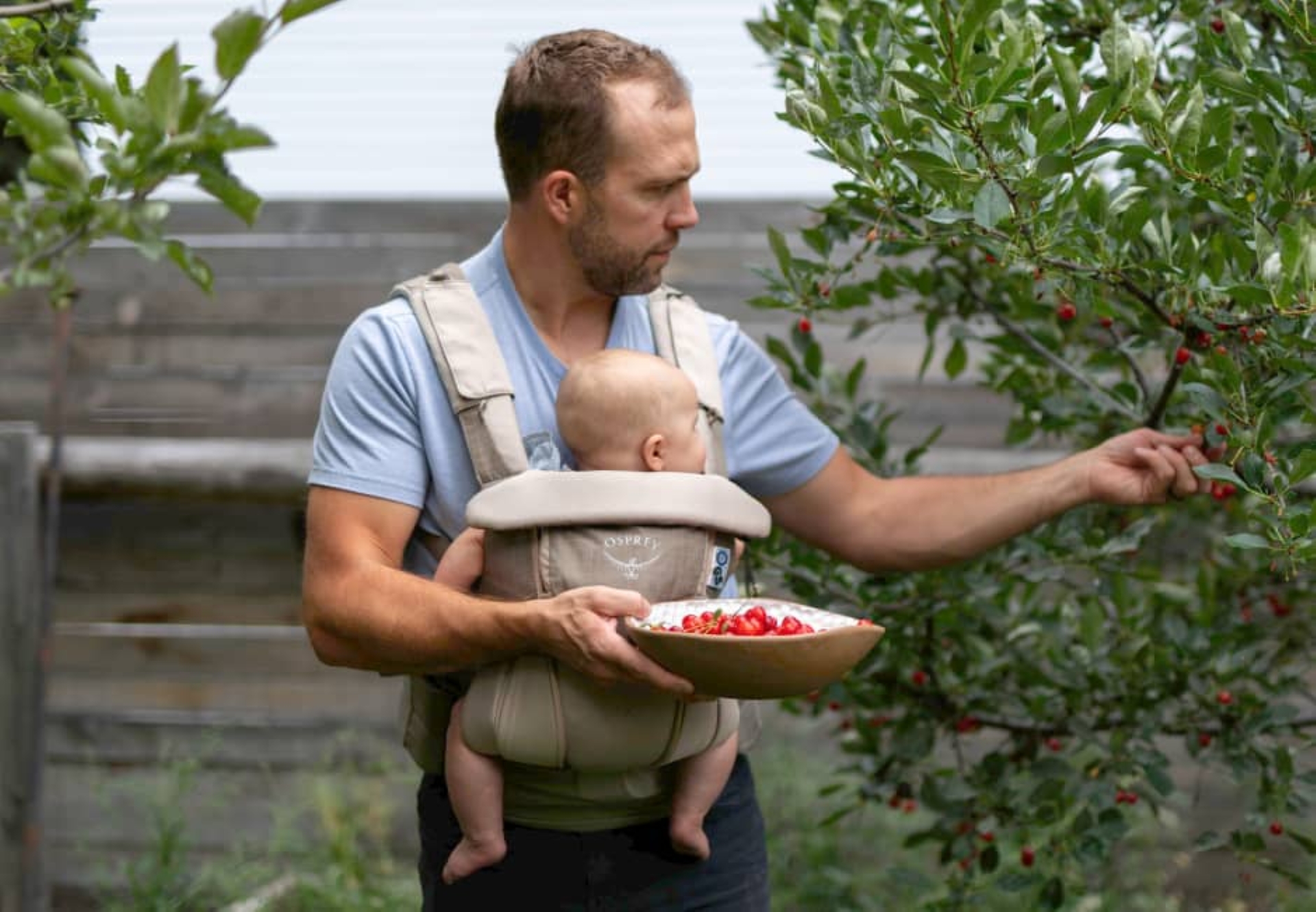 Baby Carrier